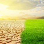 El Sahara... reverdece cada 20 mil años