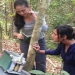 Alternativas para conservar el agua del Canal de Panamá