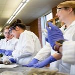 Un banco de química arqueológica.. con 10 mil muestras