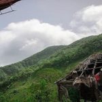 Compran un bosque...para salvar últimas especies