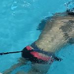 Mejoran técnica de entrenamiento para nadadores