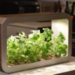 Un micro-invernadero.. para su apartamento