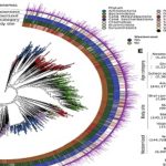 Arman catálogo con más de 5 mil especies bacterianas