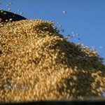 Argentina se convierte en importador de soya de EE.UU