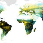 En un 30 % del Planeta.. la mayor biodiversidad está en el suelo