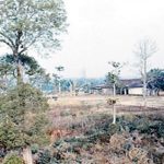 Vietnam: 50 años después.. el agente naranja.. sigue vivo