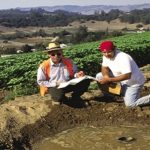 Desniveles en el terreno.. afectan los rendimientos agrícolas