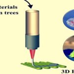 Novedosa técnica para fabricar empaques de madera original..con 3D