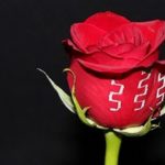 Técnica de impresión metálica.. para gravar en plantas o en una gelatina