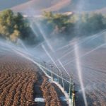 Calculan impacto del riego.. en 9 cultivos agrícolas
