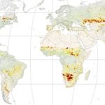 Lanzan Atlas Global de Incendios forestales:  Australia a la cabeza