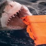 Prueban nuevo material..contra la mordedura de tiburones