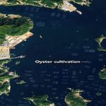 La segunda zona productora de ostras.. a nivel mundial, vista desde un satélite