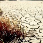 Organizado boicot.. contra regulaciones del cambio climático
