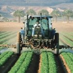 Retiran del mercado.. el pesticida agrícola clorpirifos