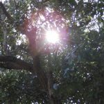 Crean molécula que absorbe más energía solar.. y la convierte en hidrógeno