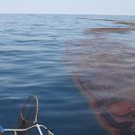 El derrame de crudo en el Golfo de México.. cubrió más de lo estimado