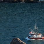 Suramérica pierde millón y medio de toneladas de pescado..cada año
