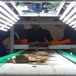 Prueban técnica.. que permite clasificar la pesca