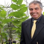 El profesor que estudia las plantas..y ha creado 14 empresas de biotecnología