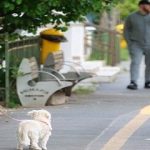 Covid-19: Máscaras deben ser obligatorias.. en sitios públicos