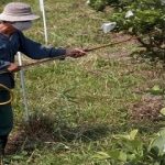 Encuentran 11 antibióticos..aplicados a la agricultura