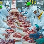 EE.UU multiplicó ventas de cerdo.. a China, en el primer trimestre