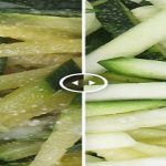 Recubriendo vegetales con seda..duran el doble