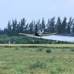 Tribunal ordena el retiro de 3 herbicidas (Dicamba)..en EE.UU