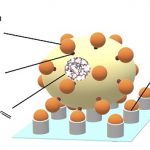 Crean método .. para detectar el glifosato en el agua