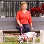 La edad de los perros..está mal calculada
