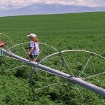 Crean tabla de indicadores.. sobre impacto climático en el agro