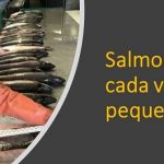 Se reduce el tamaño.. del salmón de Alaska