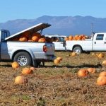 Covid-19: Ayudas a agricultores en USA..pasan de US$40.000 millones
