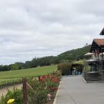Viñedos de California..líderes en adaptación al clima
