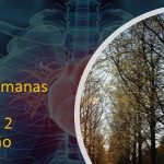 Para el cuerpo humano.. solo ocurren 2 cambios de estación al año
