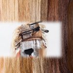 Con enzima de hongos.. logran tinturas del pelo, más naturales