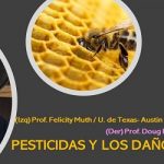 Identifican pesticidas ..y más daños a la salud de las abejas