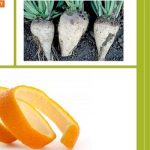 Plástico renovable.. hecho con cáscara de naranja