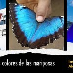 Llegan los paneles solares.. multicolores