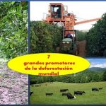 72 millones de hectáreas de bosques menos.. por cuenta del agro