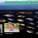 Los criaderos de peces..parecen carreteras en el océano
