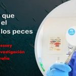 Inventan un filtro de papel .. que recoge el ADN de los peces