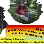Los bosques absorben 4 veces más de CO2.. que hace medio siglo
