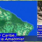 La Amazonia .. estuvo un tiempo bajo las aguas del mar Caribe?