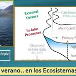 Como deteriora el verano.. las aguas más profundas de los lagos