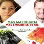 Mayor producción de marihuana.. dispara emisiones de CO2, en USA