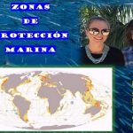 Pesqueros desalojan millones de toneladas de CO2.. del fondo marino