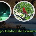 Lanzan Catálogo Global.. con 108 tipos de ecosistemas