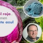 Logran crear un colorante azul..100% natural